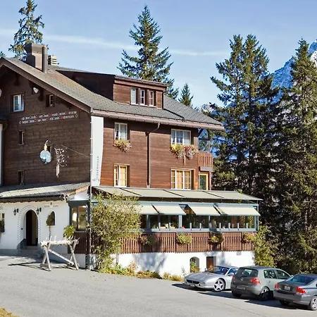 Arlenwald فندق