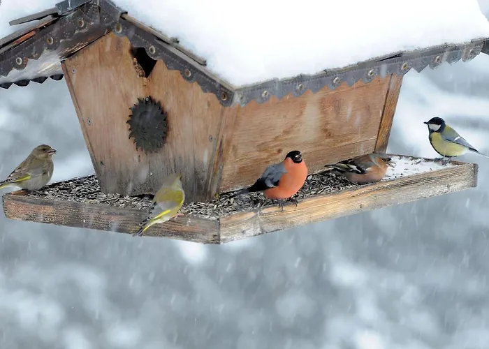 Hotel Arlenwald Arosa