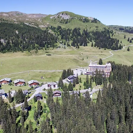 Hotel Arlenwald 3*
